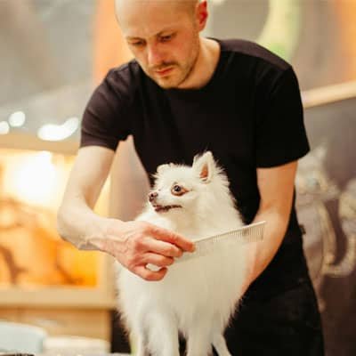 Pet Care